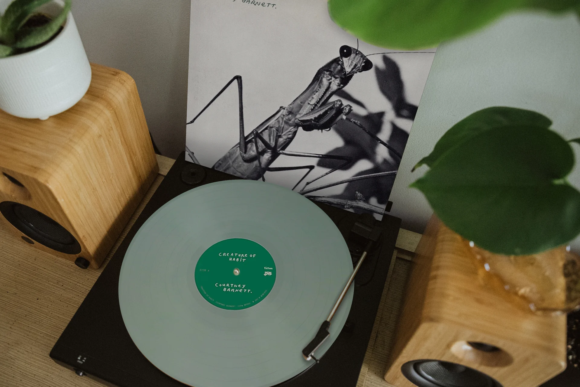 Real Vinyl Curated by Artists